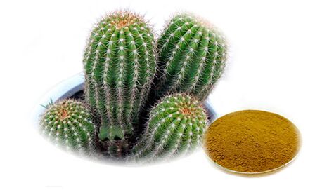 Hoodia gordoni ar Reduslim