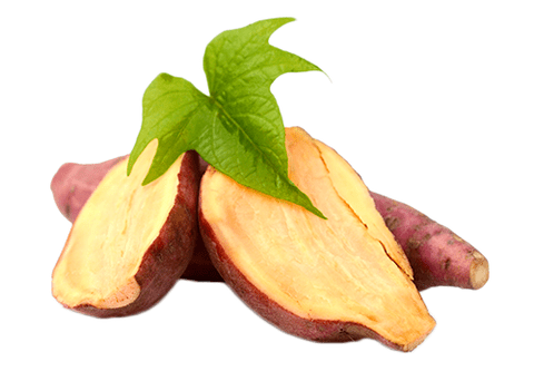 Yacon sakne Reduslim