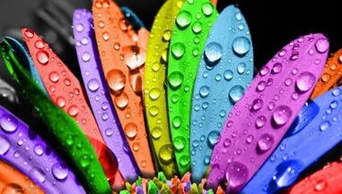 Kā zaudēt svaru, ievērojot 6 ziedlapiņu diētu